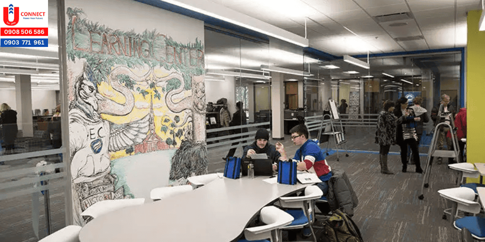 Giới thiệu về đại học Elmhurst, bang Illinois, Mỹ và học bổng của trường